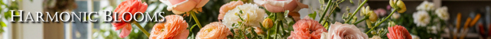 Harmonic Blooms | Glastonbury CT Florist
