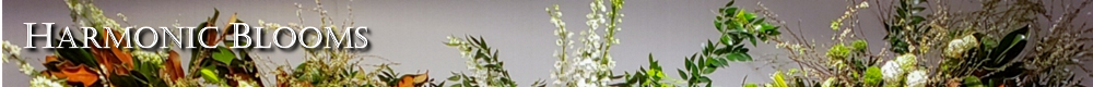 Harmonic Blooms | Glastonbury CT Florist