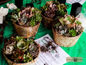 Harmonic Blooms Workshops Featured in the Glastonbury Citizen
